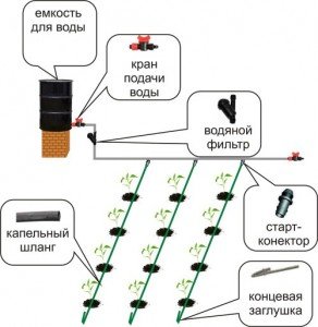 kapelny_poliv