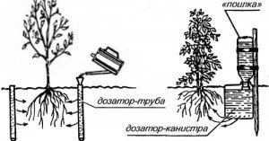 vnutripocvennyj-poliv-500x262